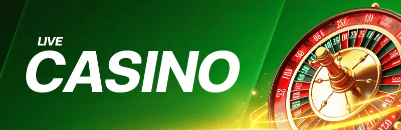 แทงบาคาร่า คาสิโนออนไลน์