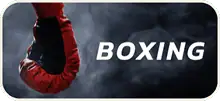 แทงมวย (Boxing)