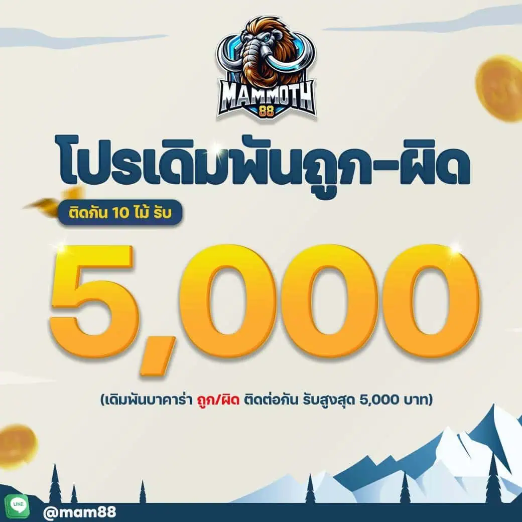 โปรโมชั่น MAM MOTH